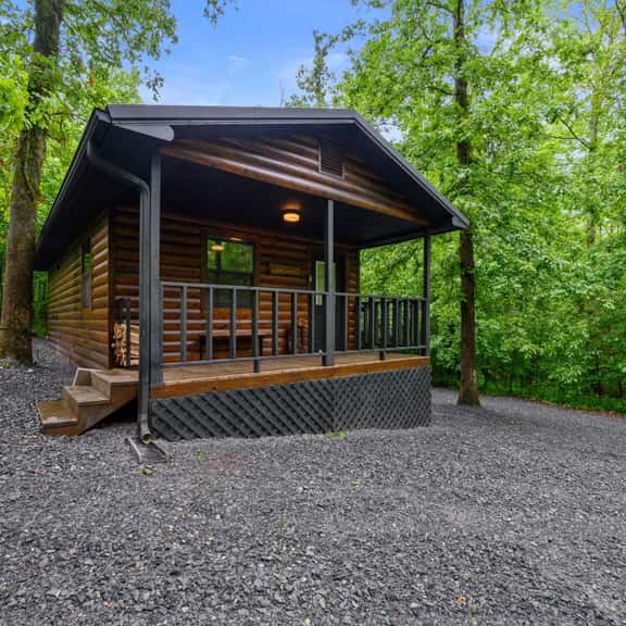 Bear Naked Cabin | Romantic Broken Bow Cabin with Hot Tub, Fire Pit & Pets - Image 1