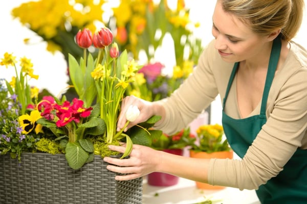 Florist arranging red tulips and yellow daffodils in a woven planter with colorful spring flowers